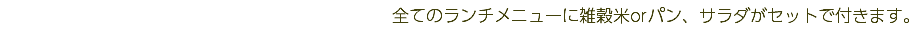 全てのランチメニューに雑穀米orパン、サラダがセットで付きます。